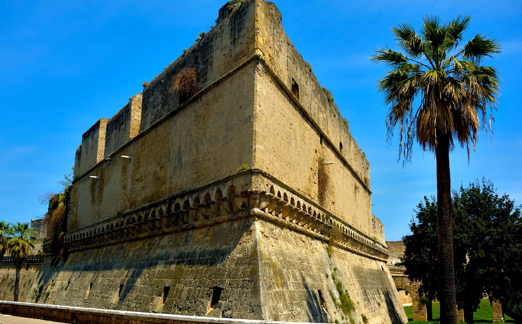 bari1HD